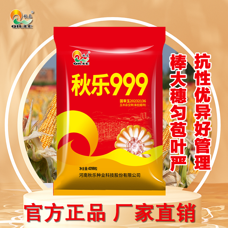 【秋乐999】国审玉米种红轴大棒籽粒深大马牙官方正品厂家发货