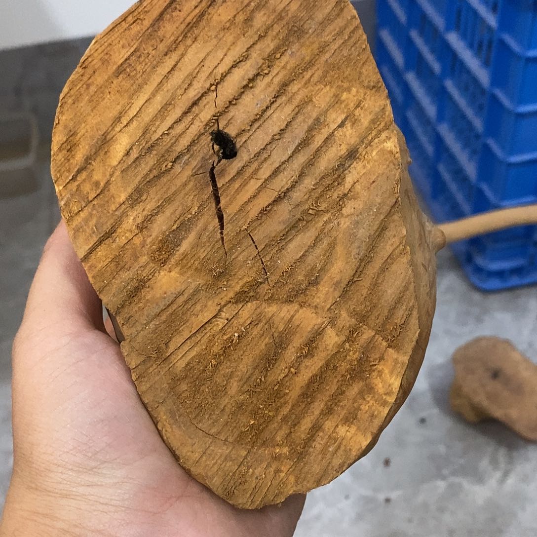 ****常荔枝木荔枝木挖空