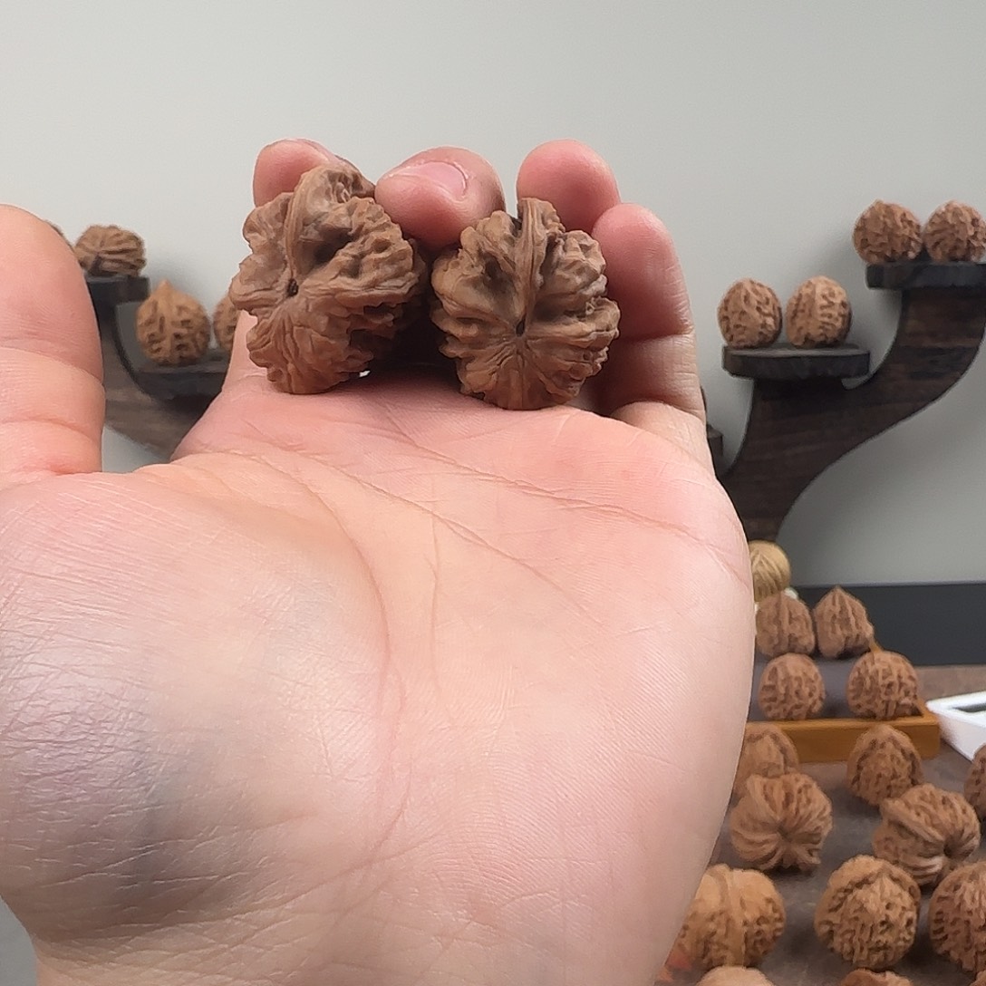 核桃磕尖南疆异形1652