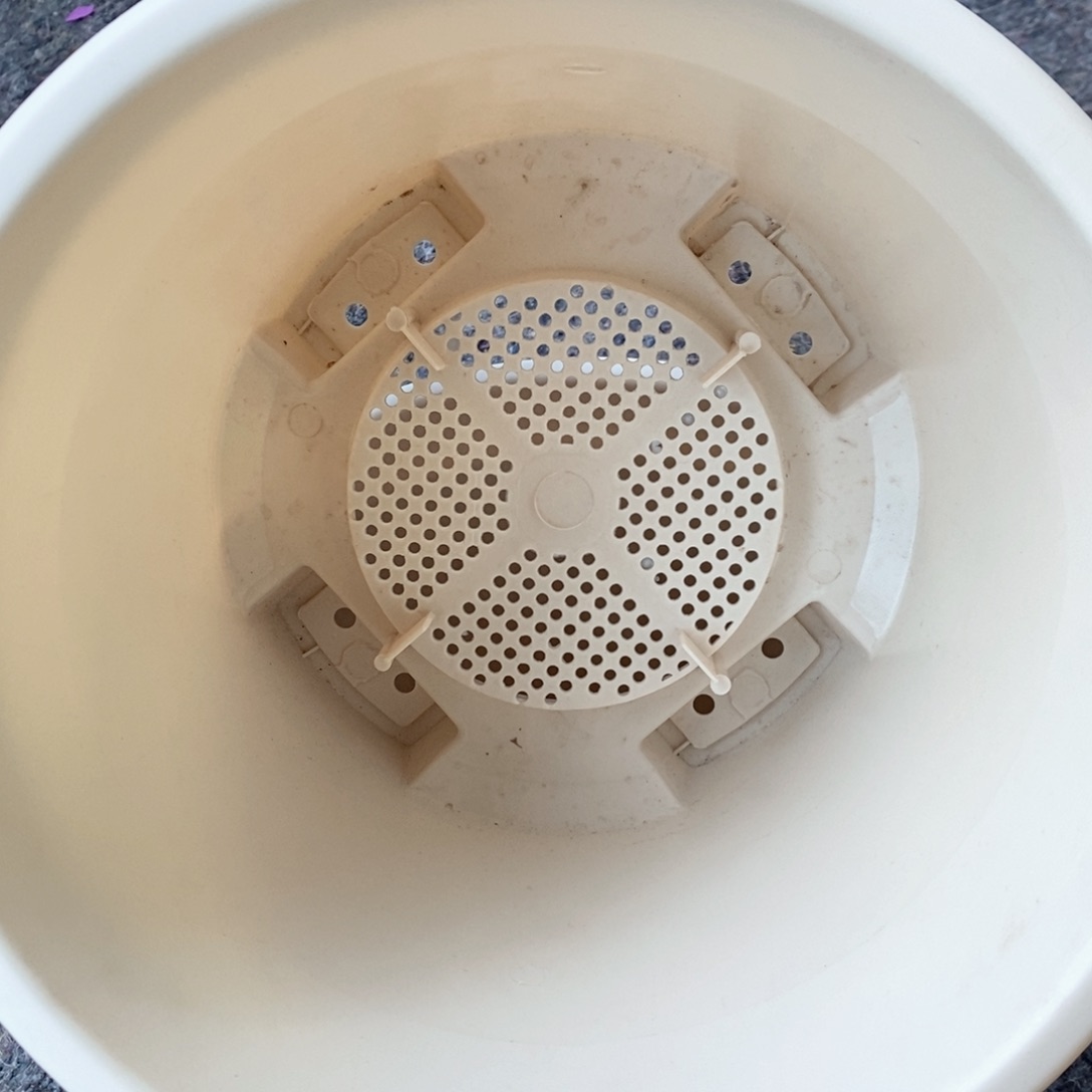 树脂3个32口米色球根无托