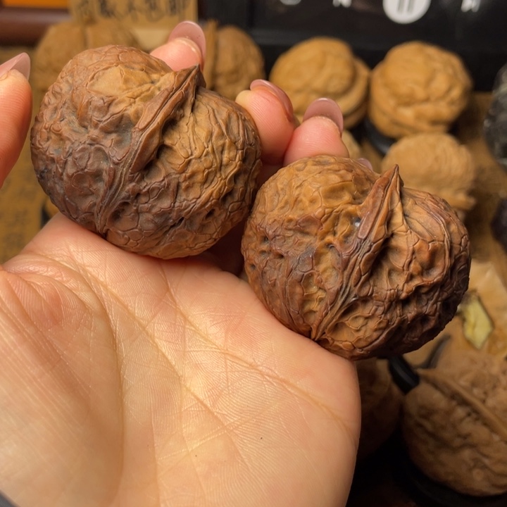 有***命如图所示一物一拍31