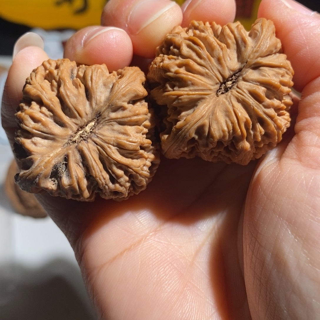 侯***勇大叶紫檀（黑酸枝木类）