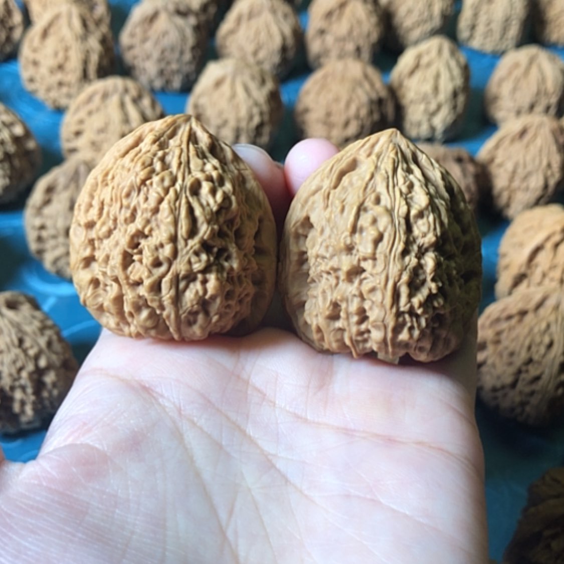 【闪购商品】文玩核桃把件一代将