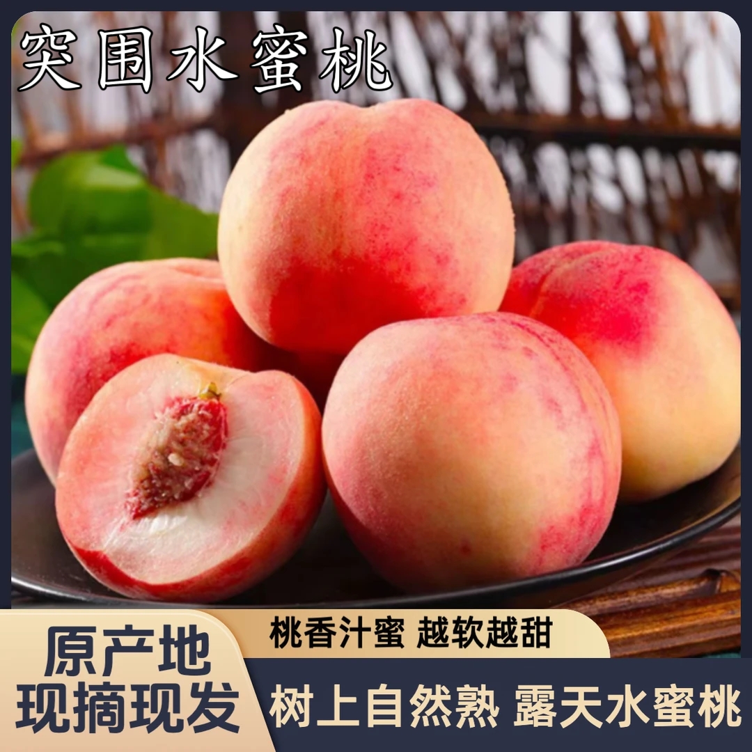 【星球】山西运城头茬水蜜桃新鲜现摘脆软甜多汁当季水果