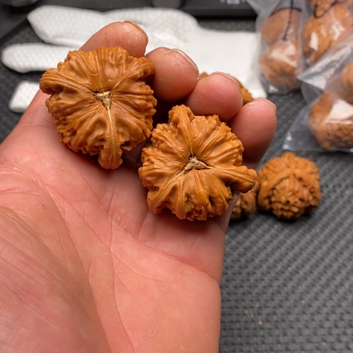 核桃把件佳****?拼接白狮子11