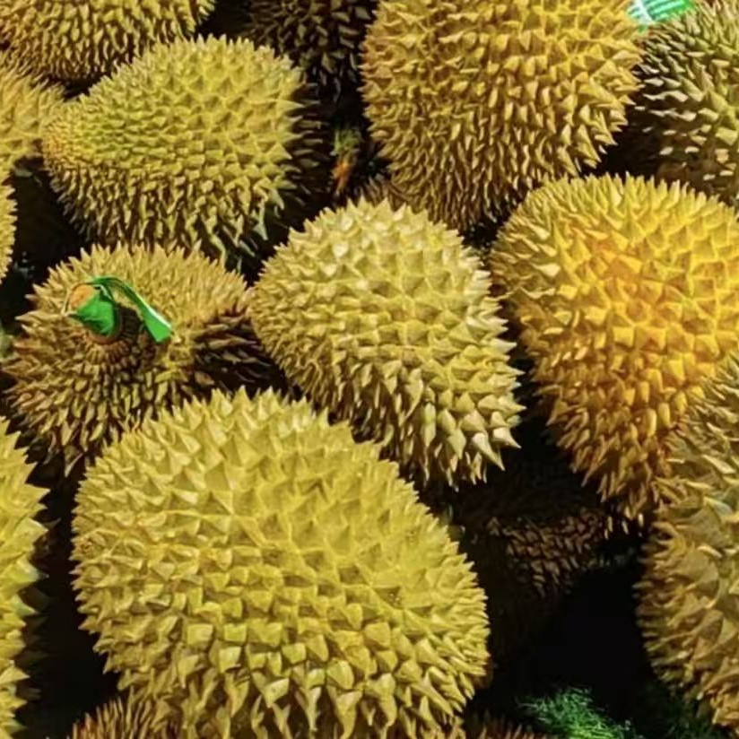 树熟泰国金枕核小鲜榴莲3--6斤新店特惠榴莲同城配金枕