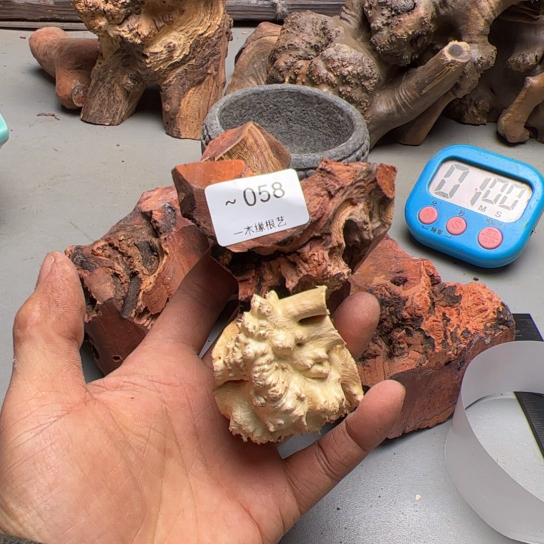 呦***i无花朵        58