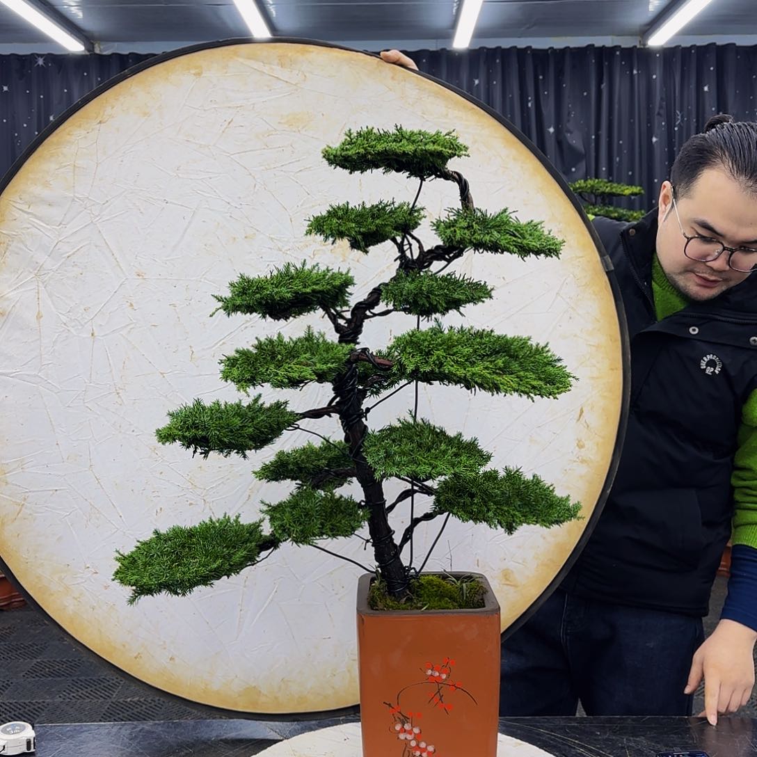 盆景罗汉松造型盆景