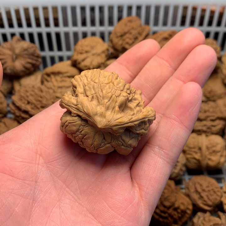 沉***D文玩核桃吊坠小蛇