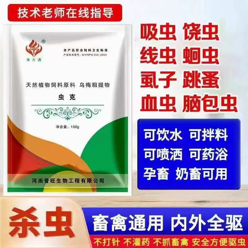 虫克畜禽老师通用高温狗狗打洞视频内外同驱强降雨精致鸽子野牛