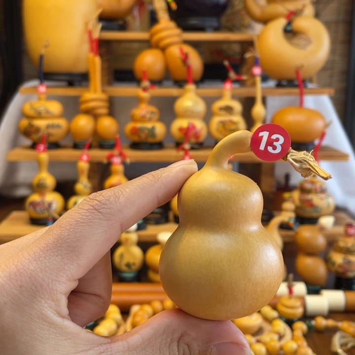 ?**?天然葫芦自然生长豆儿