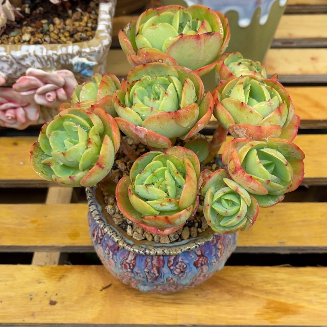 ?****?73773833838353853