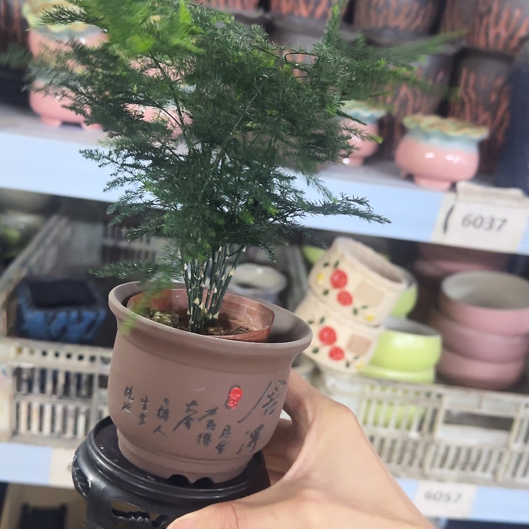 3件套福利局［凑9元包邮24小时发］