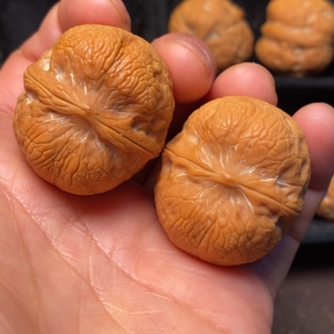 文玩核桃把件秦岭山脉的一