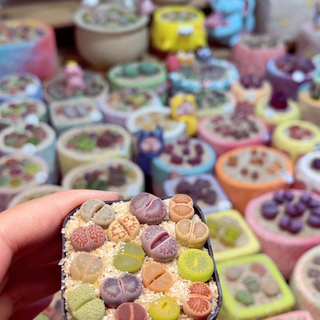 261。888888888888888888