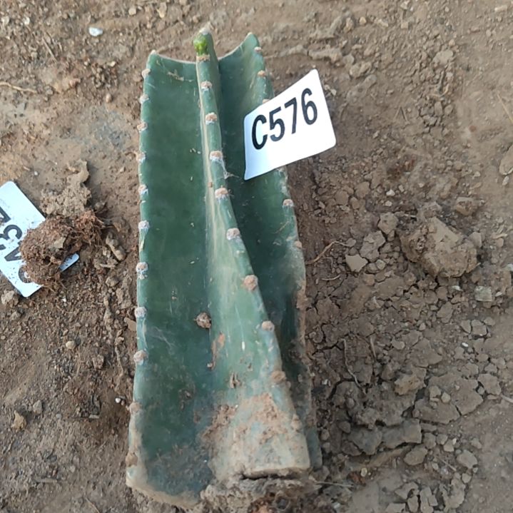 点赞福利量天尺1个576