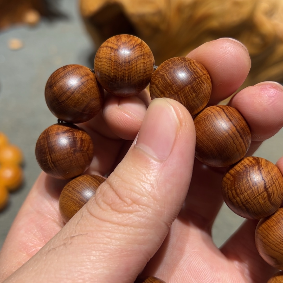 柏木（崖柏）北太行陈化崖柏