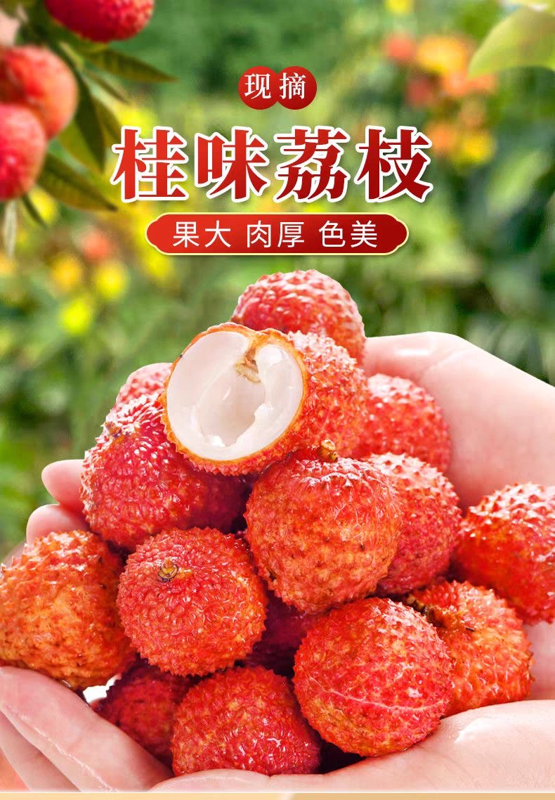 新鲜广东茂名桂味荔枝新鲜现摘清甜多汁当季水果冷链发货