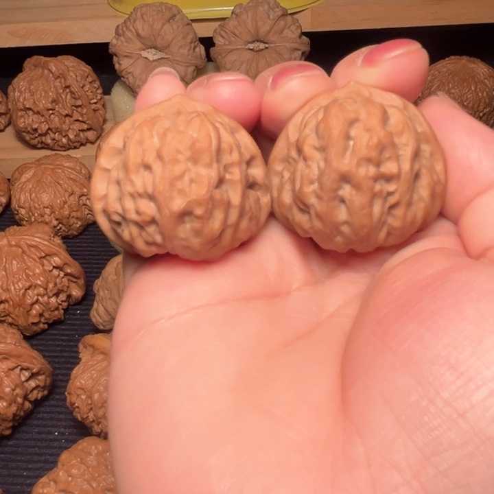 ༺***༻文玩核桃把件野蝉35