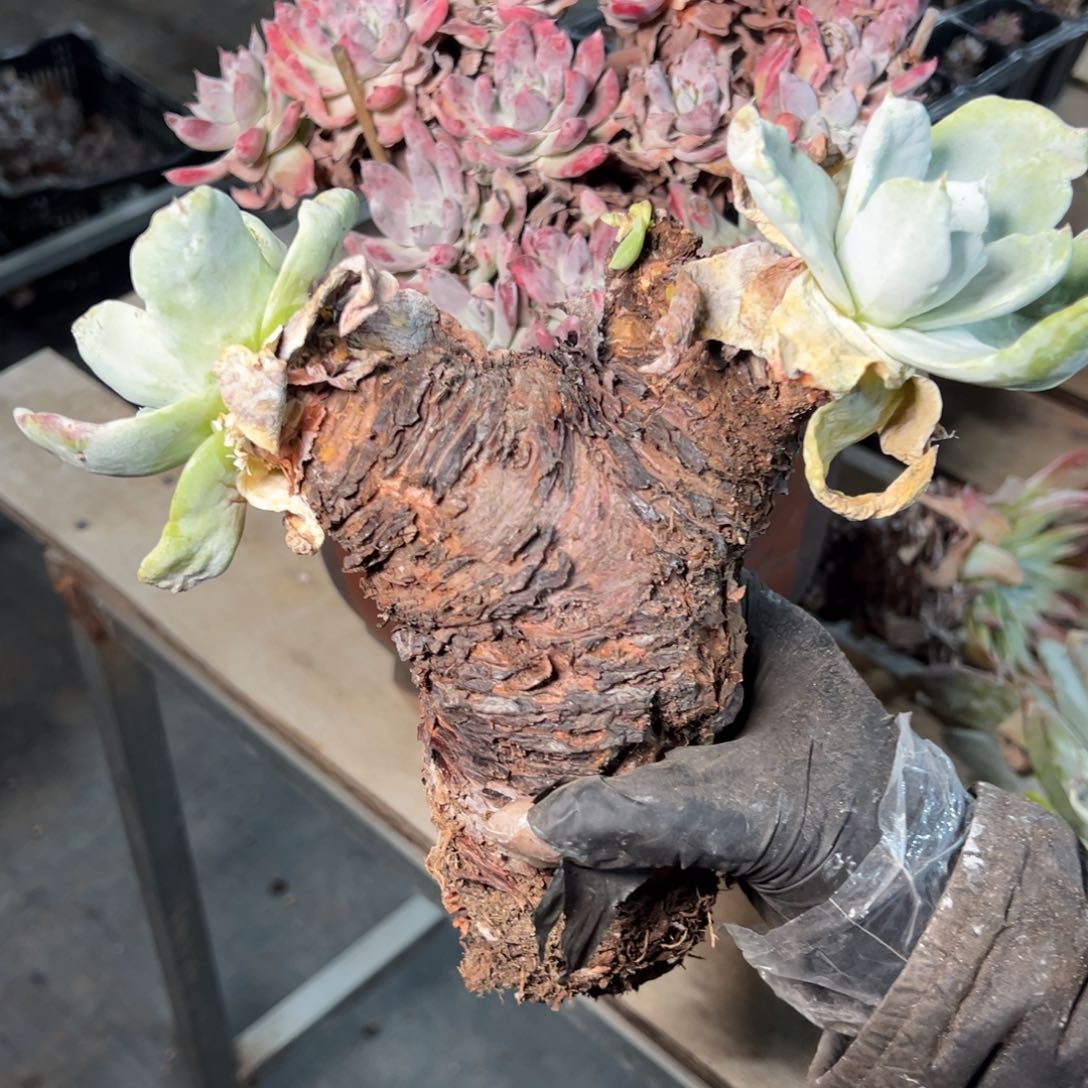 9120哈哈哈哈哈哈哈哈