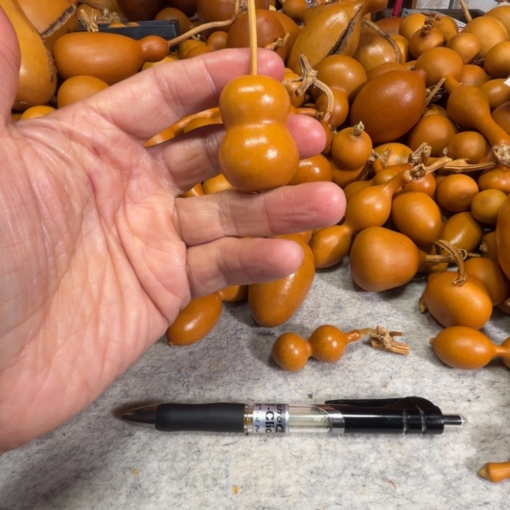 甜****陈小姐的一把瓶子，一把瓶子葫芦填小姐