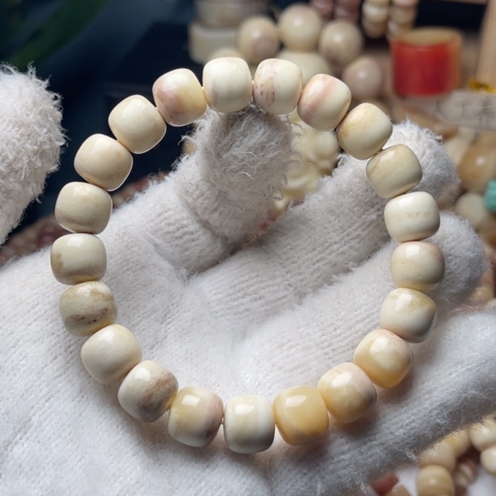 驼骨手串/手链11✖️10