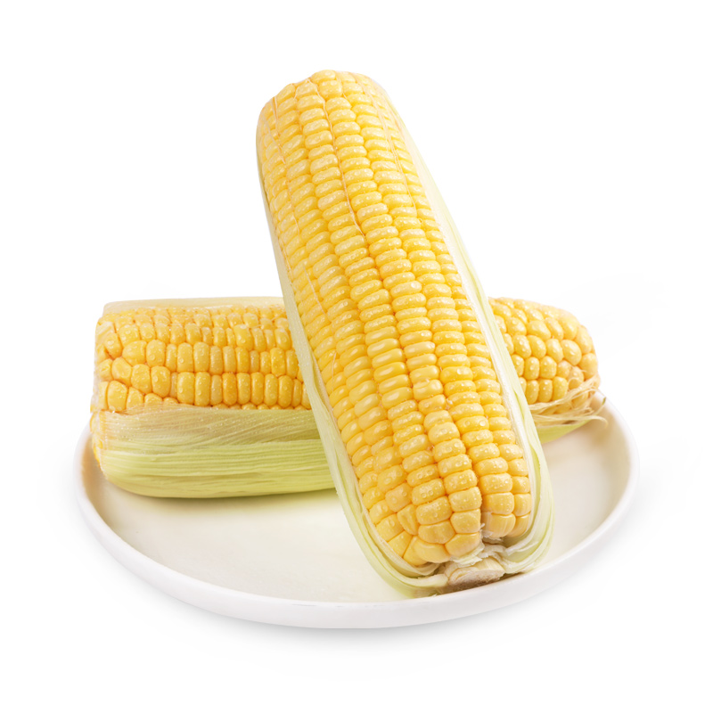 【爆汁】精选甜玉米 650g-720g