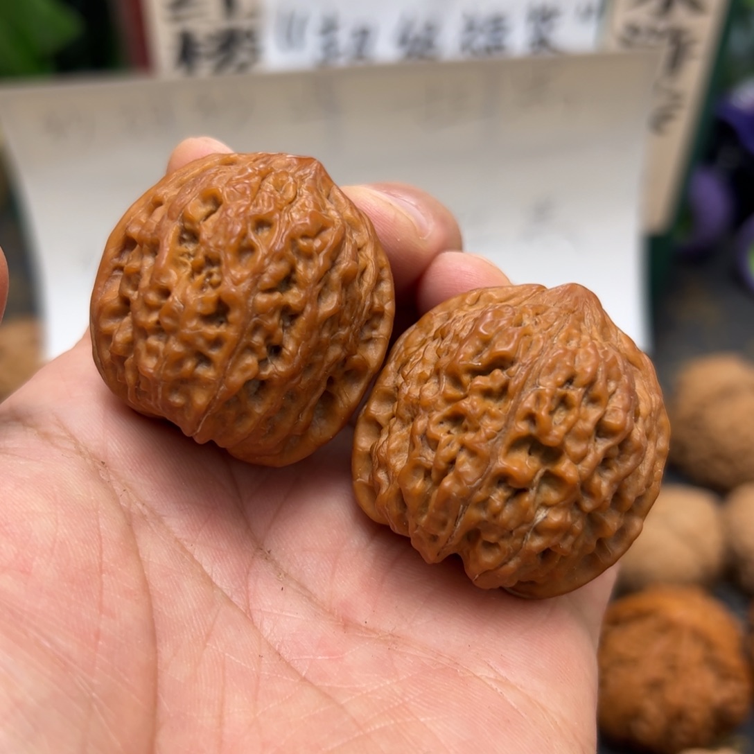 文玩核桃把件37+野生小众果全品