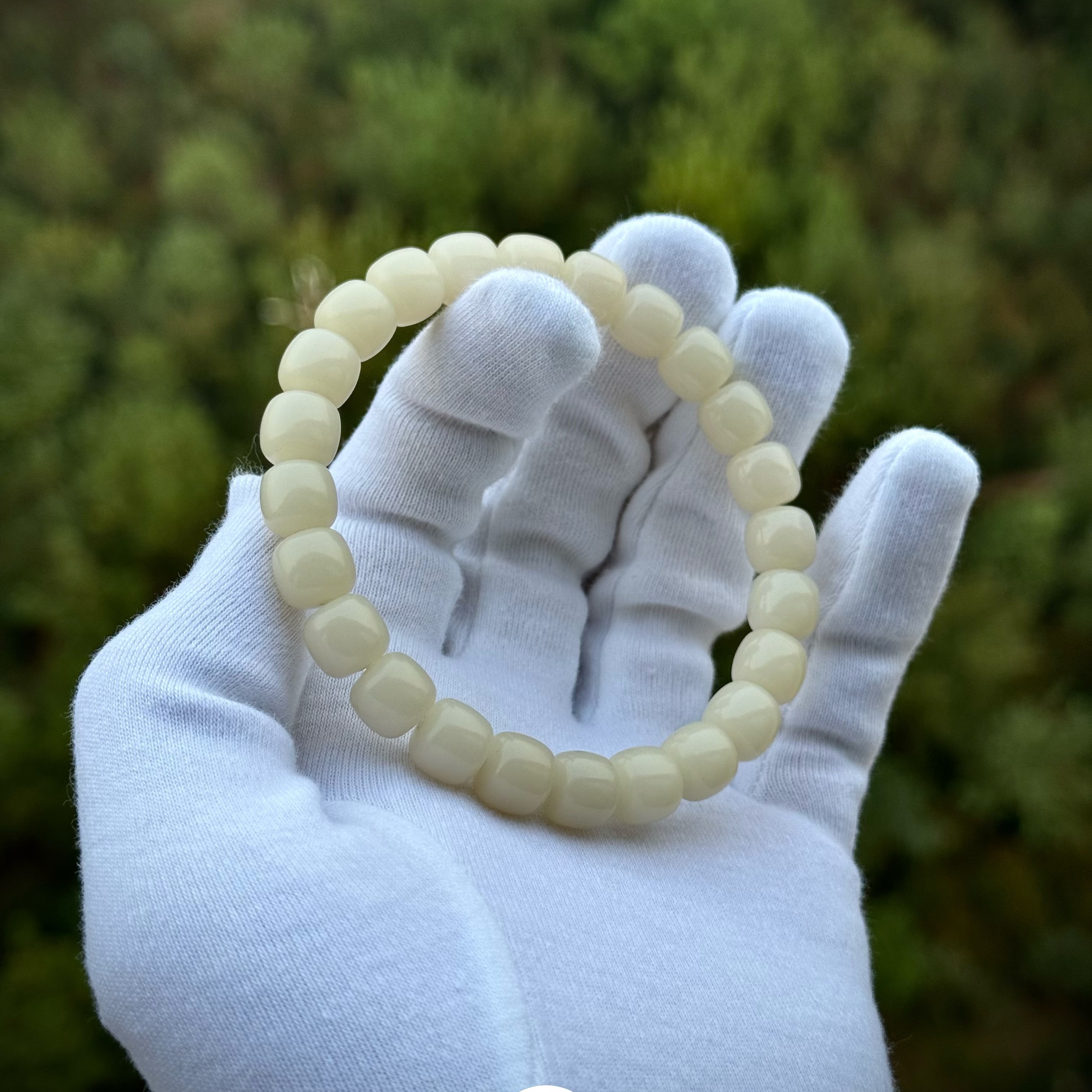 子予菩提根【体验款】