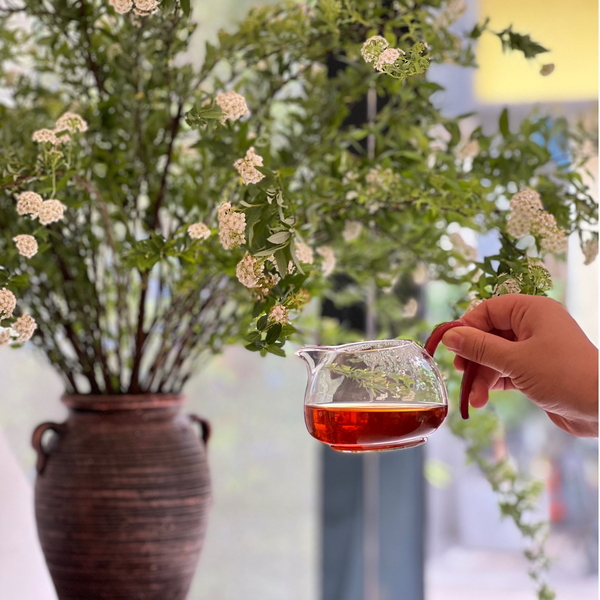 2025普洱熟茶通用