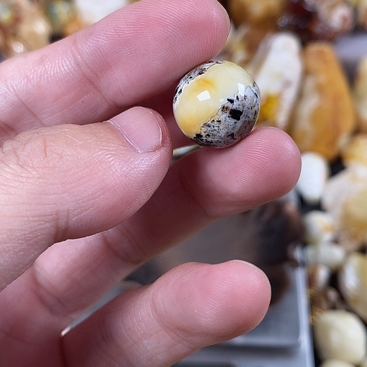 琥珀未镶嵌裸石我