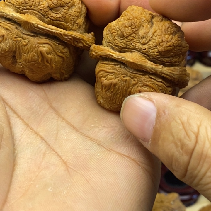 柳***巳核桃曼巴龙蟾000000000