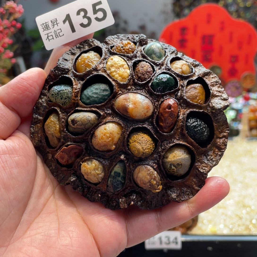 核桃木/黑胡桃（胡桃木）135