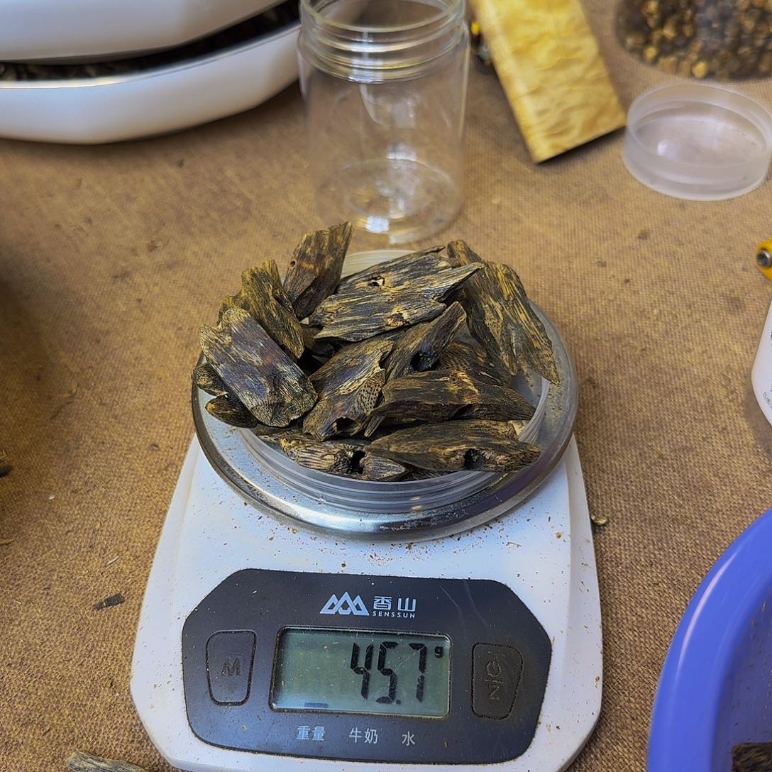 抢***主陆河块料45.7克装