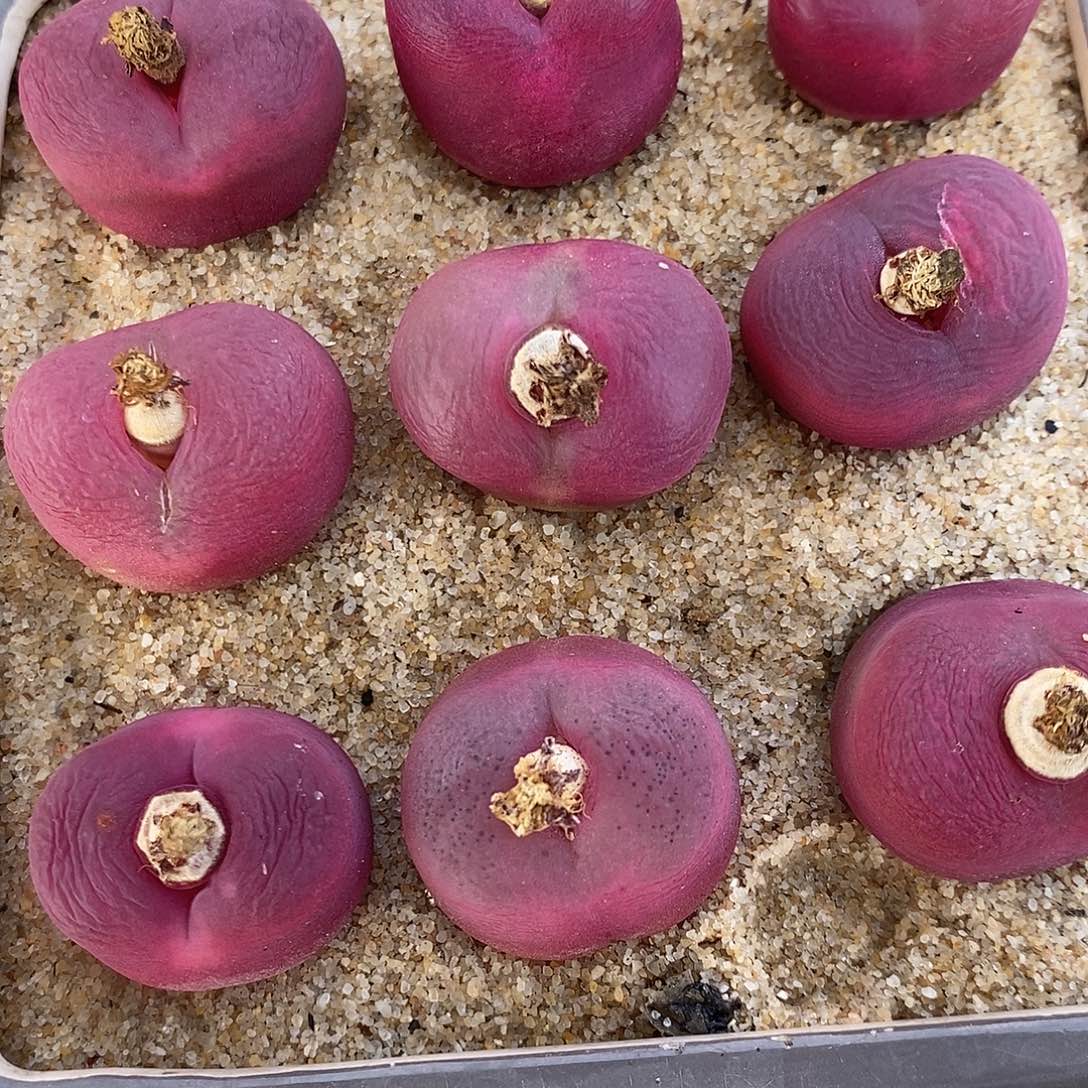 25106韩潘一组。      