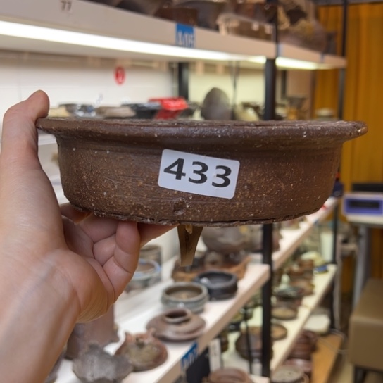 15.5x4//外口20////433////