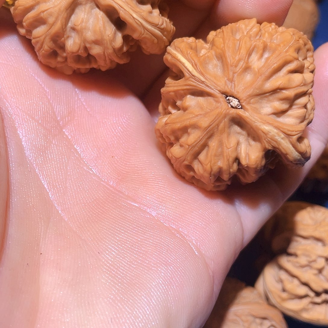 文玩核桃吊坠꧁****꧂红锦鲤