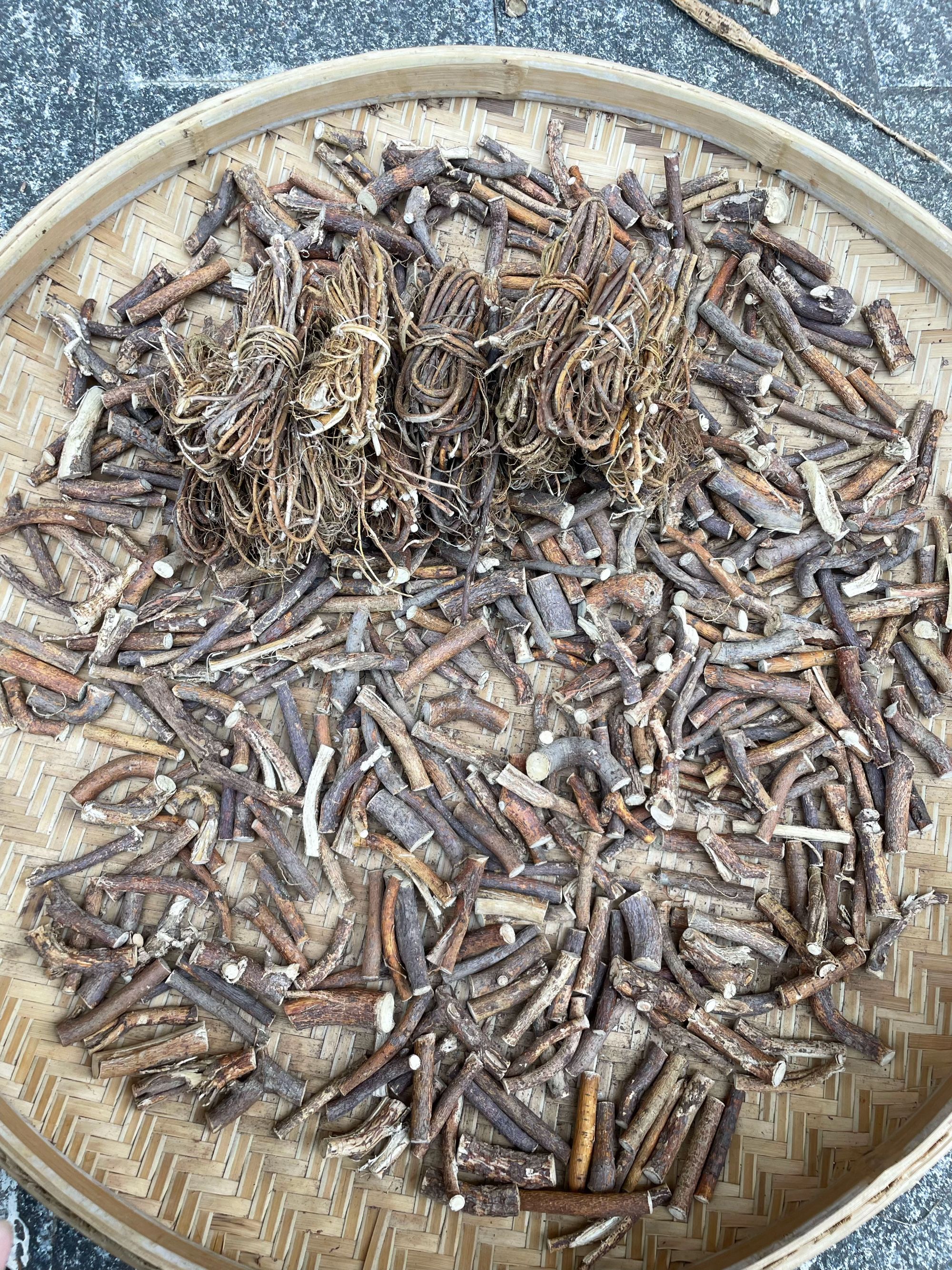 广西贺州野生五指毛桃 