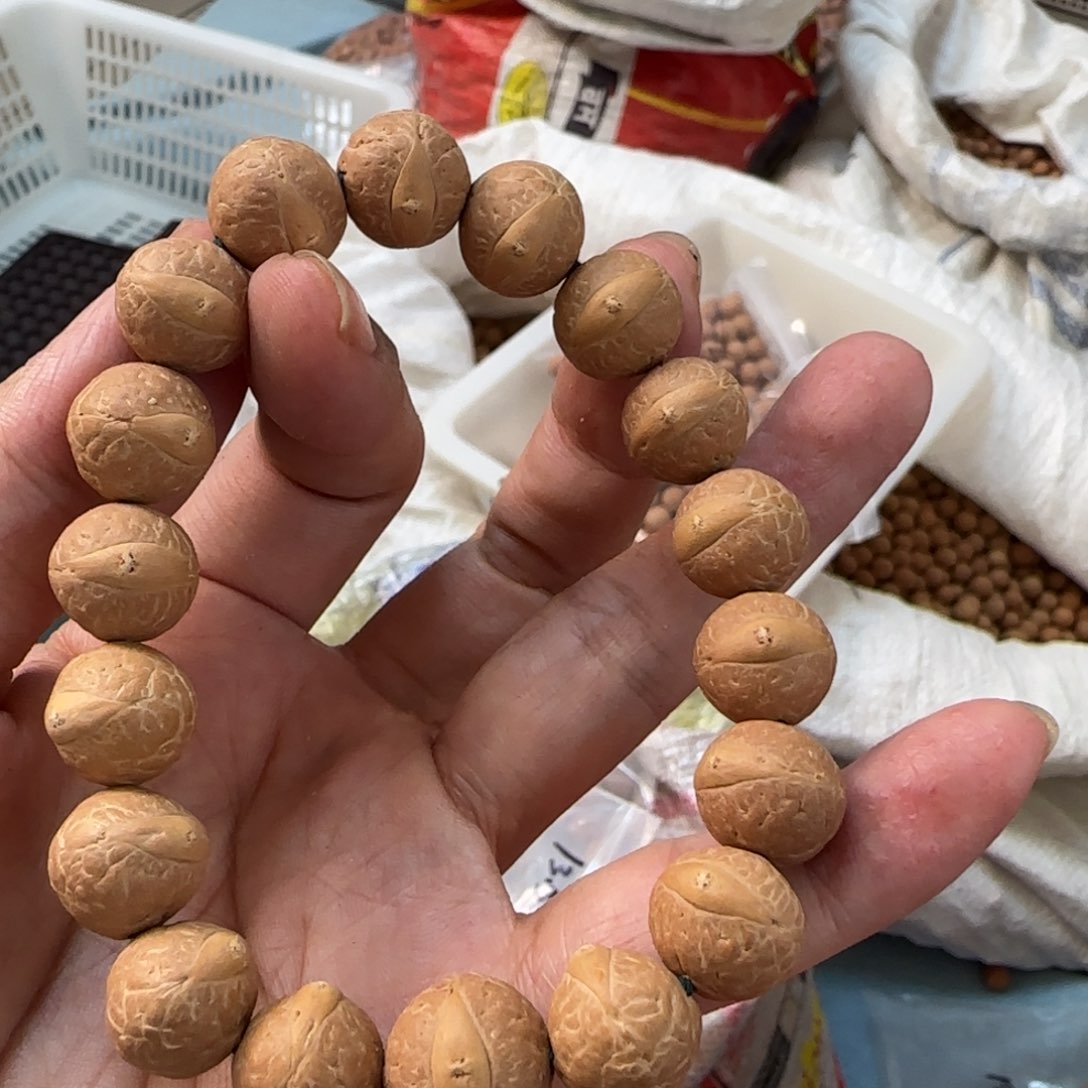 凤眼菩提吊坠29号13.5单圈