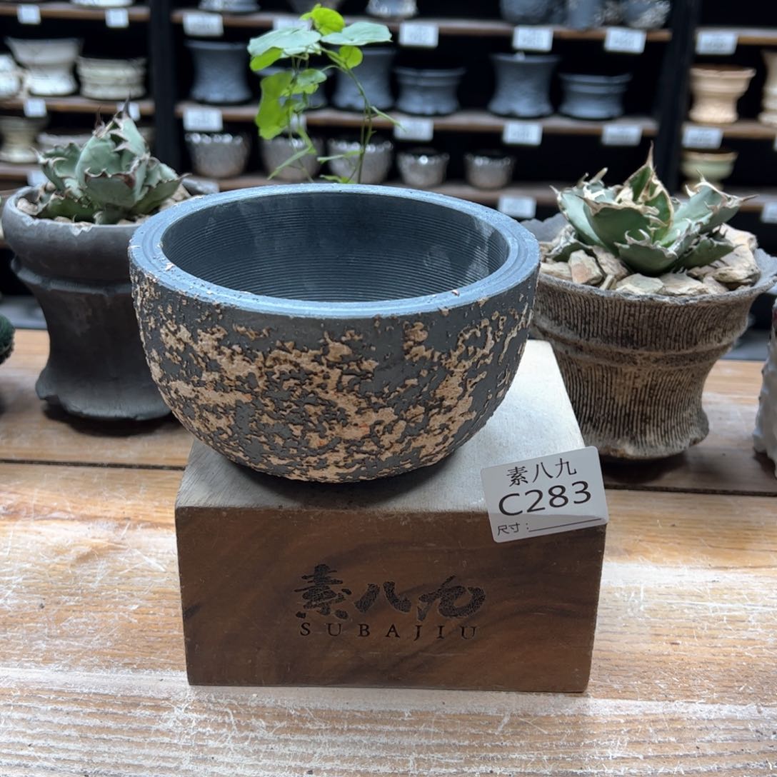 素八九陶瓷内口12高8