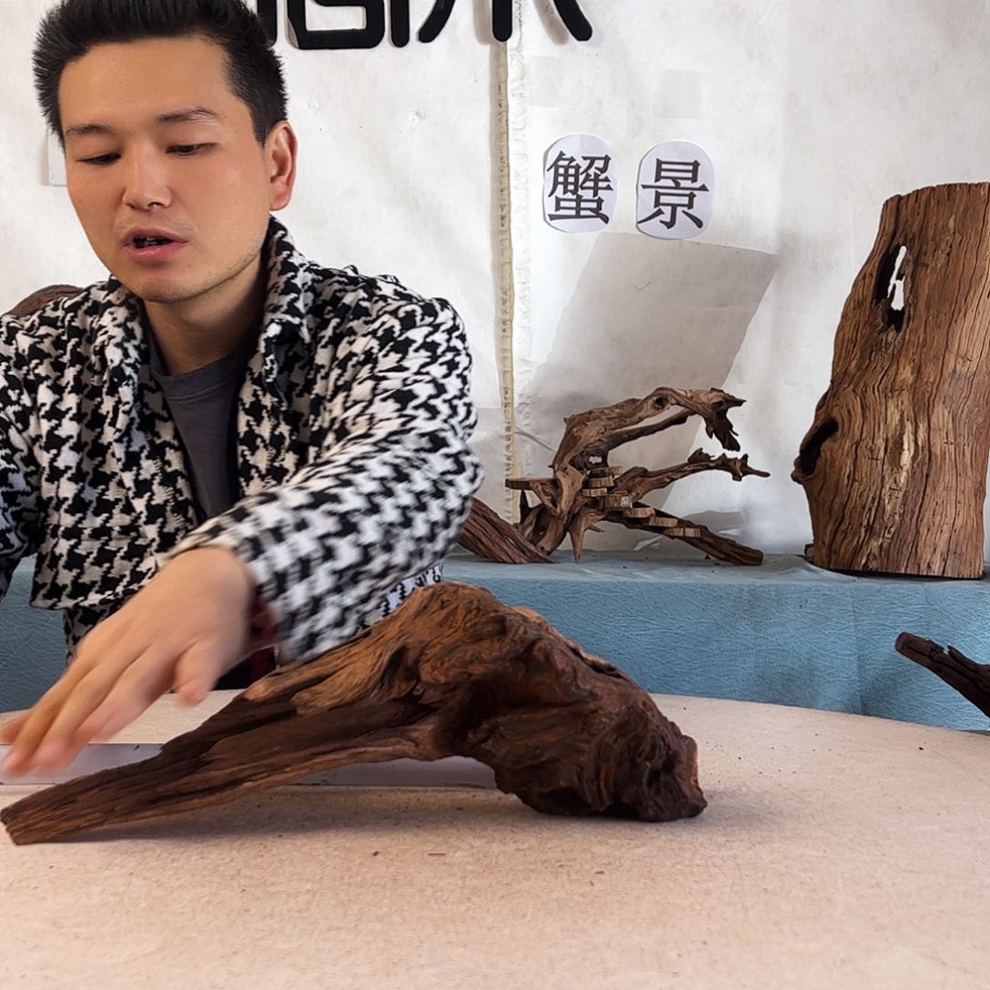 35.13.8 沉木造景爬宠造景