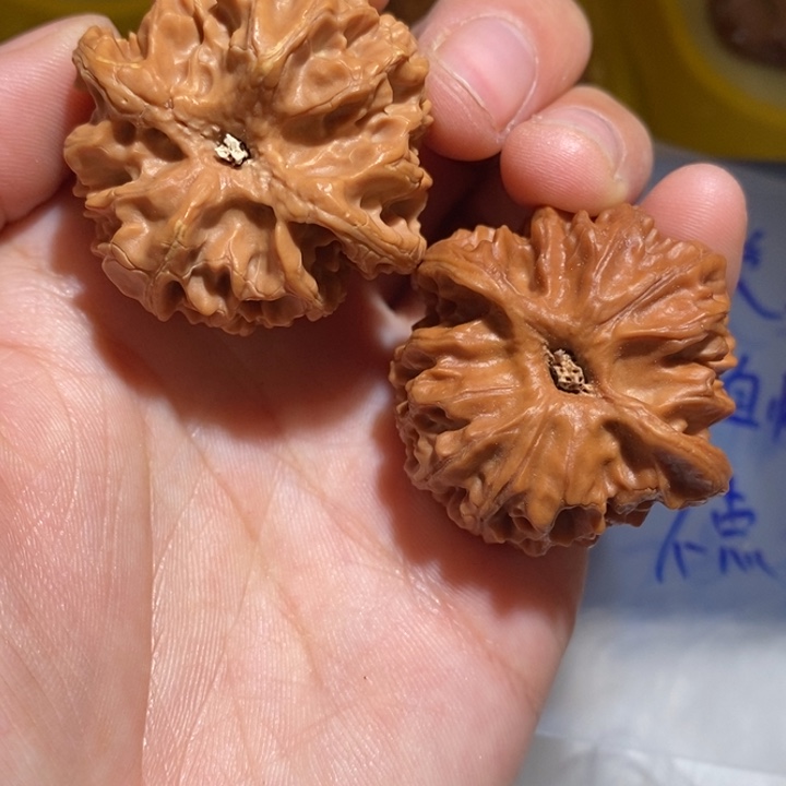浪***马吊坠文玩核桃精品课程和专业培训教材以及