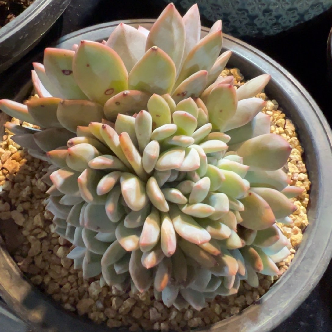 新年快乐 新年快乐