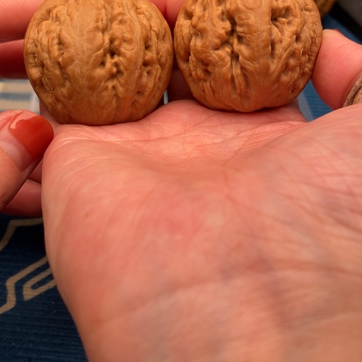 躬***国文玩核桃吊坠文玩核桃文玩核桃