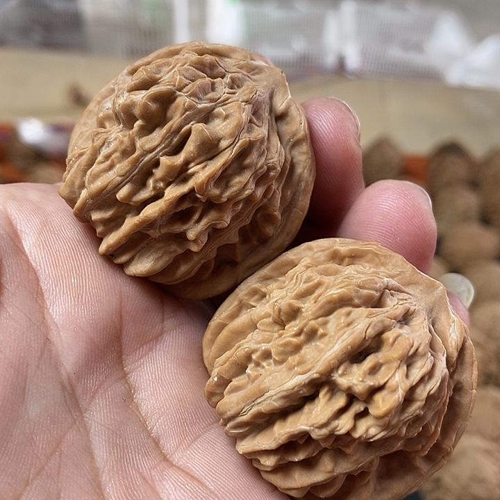 十***月核桃全品无袖无药楼43