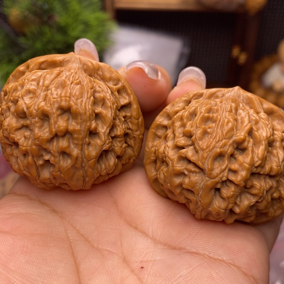 文玩核桃吊坠水龙纹。边44。丹微修