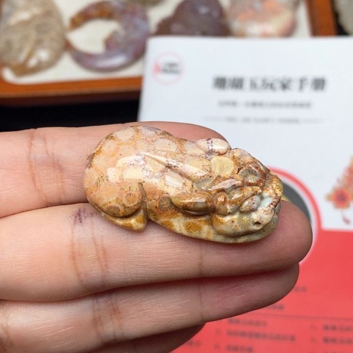 硅化珊瑚（珊瑚玉）手镯未镶嵌