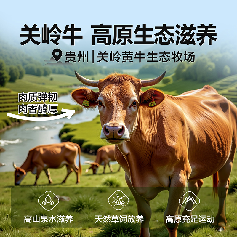 良品铺子牛肉小方原味40g适合健身早餐代餐饱腹健康休闲解馋零食