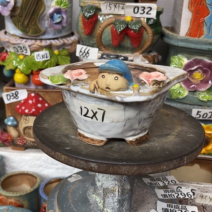 粗陶材质多肉花盆