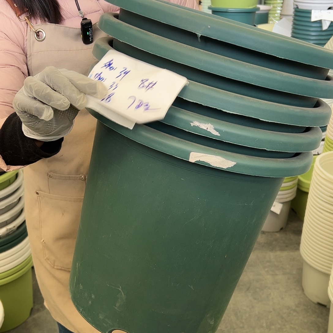四季盆8#墨绿色5个